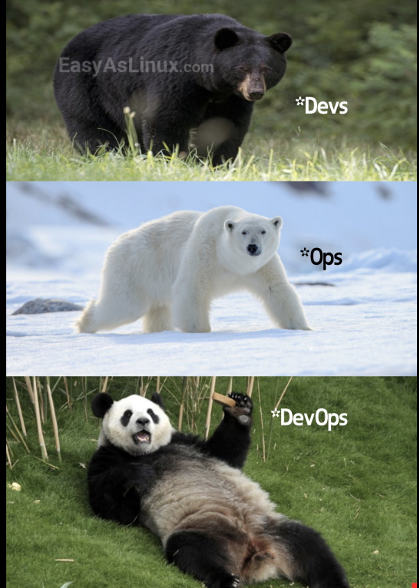 DevOps Memes